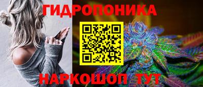 ПСИЛОЦИБИНОВЫЕ ГРИБЫ Гусиноозёрск
