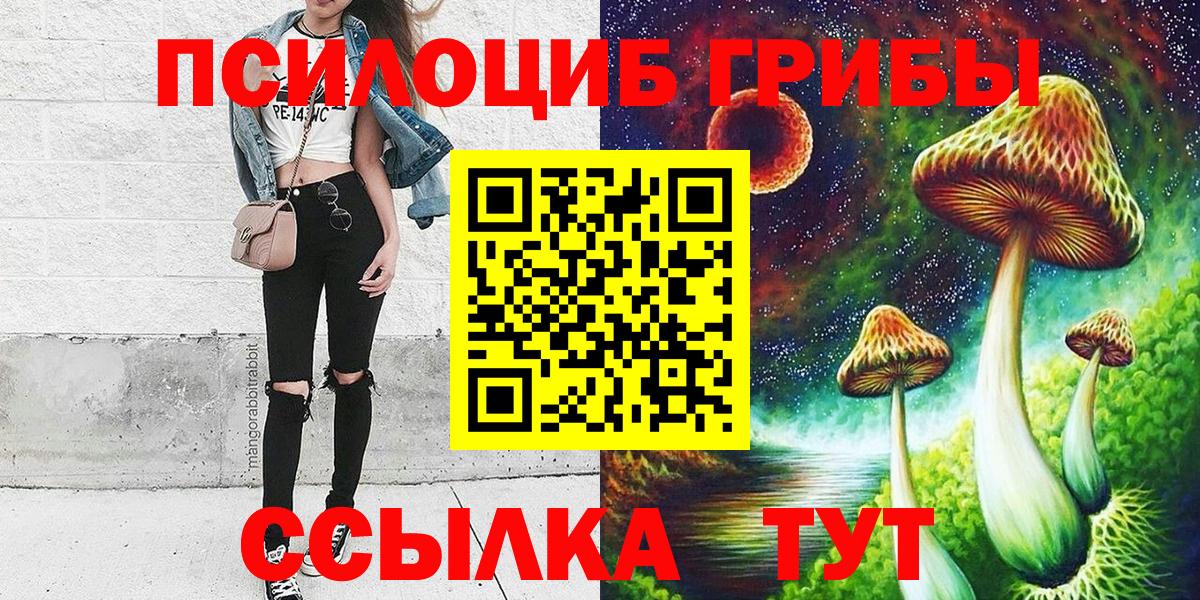 Псилоцибиновые грибы GOLDEN TEACHER Мытищи