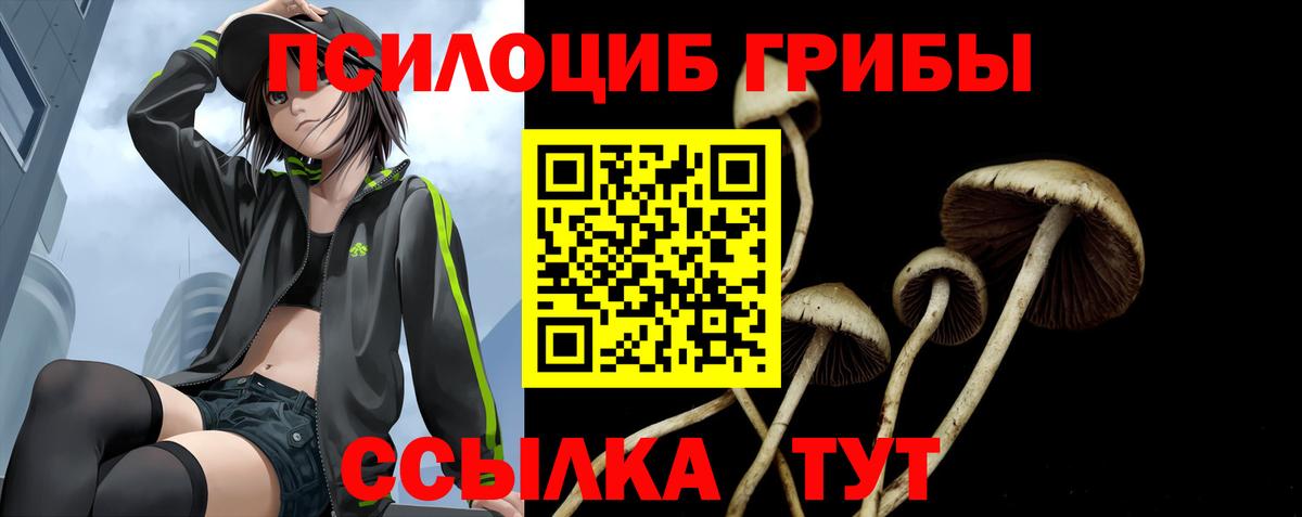 Мытищи  Псилоцибиновые грибы Psilocybe  Вход с VPN  Галлюциногенные грибы мухоморы 